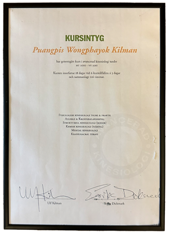 Kursintyg i kinesologi